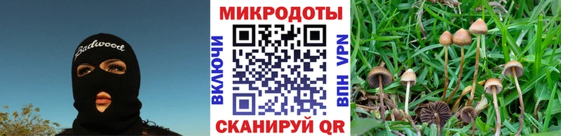 Галлюциногенные грибы MAGIC MUSHROOMS  где найти   Нижняя Салда 